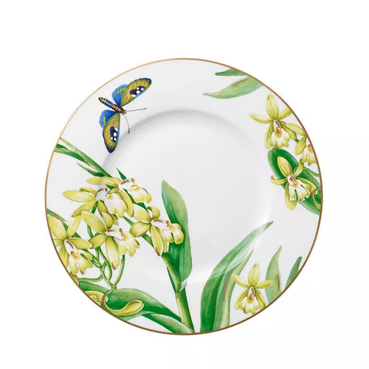 Amazonia - Anmut Salatteller (6er-Set)